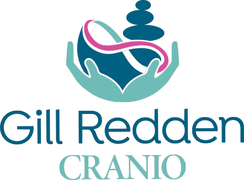 Concussion New Zealand